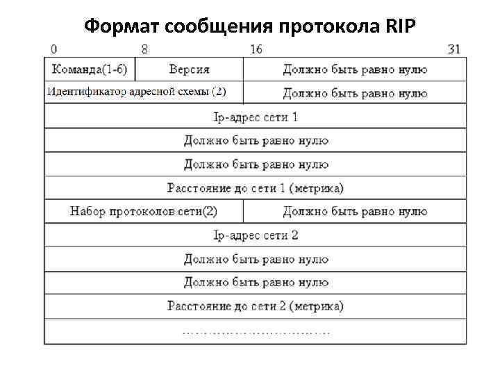 Опишите схему работы протокола rip