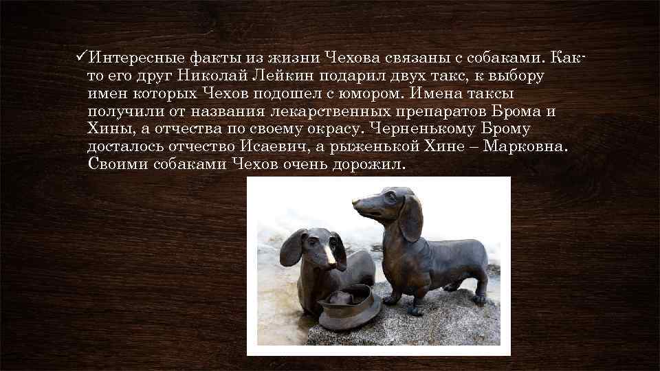 üИнтересные факты из жизни Чехова связаны с собаками. Както его друг Николай Лейкин подарил