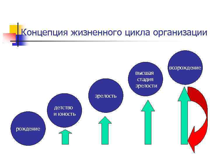 Цикл из 5 этапов. Жизненный цикл организации рождение детство Юность зрелость. Стадия зрелости жизненного цикла. Стадии жизненного цикла фирмы. Жизненный цикл организации зрелость.