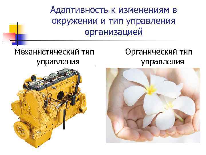 Адаптивность к изменениям в окружении и тип управления организацией Механистический тип управления Органический тип