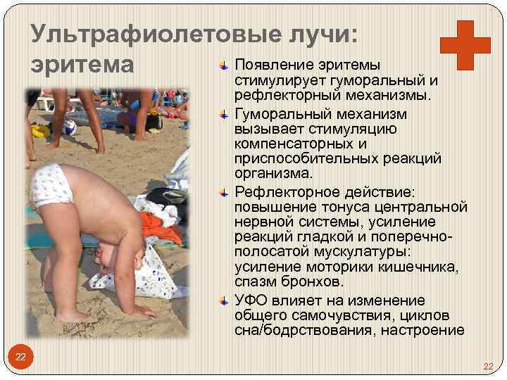 Ультрафиолетовые лучи: Появление эритемы эритема стимулирует гуморальный и рефлекторный механизмы. Гуморальный механизм вызывает стимуляцию