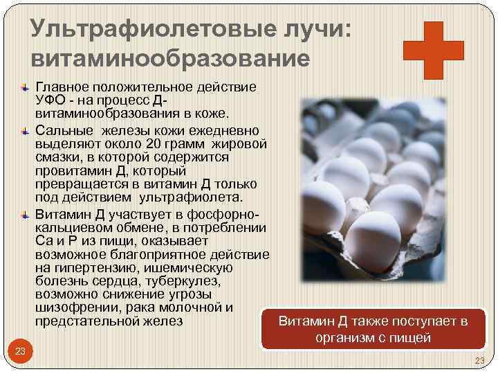 Ультрафиолетовые лучи: витаминообразование Главное положительное действие УФО - на процесс Двитаминообразования в коже. Сальные