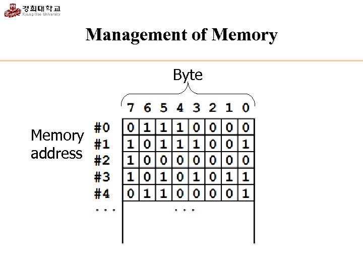 Management of Memory Byte Memory address 