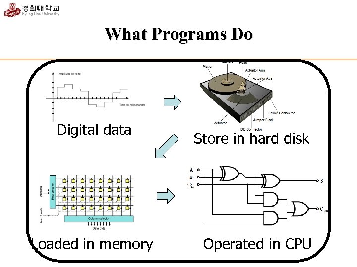 What Programs Do Digital data Loaded in memory Store in hard disk Operated in