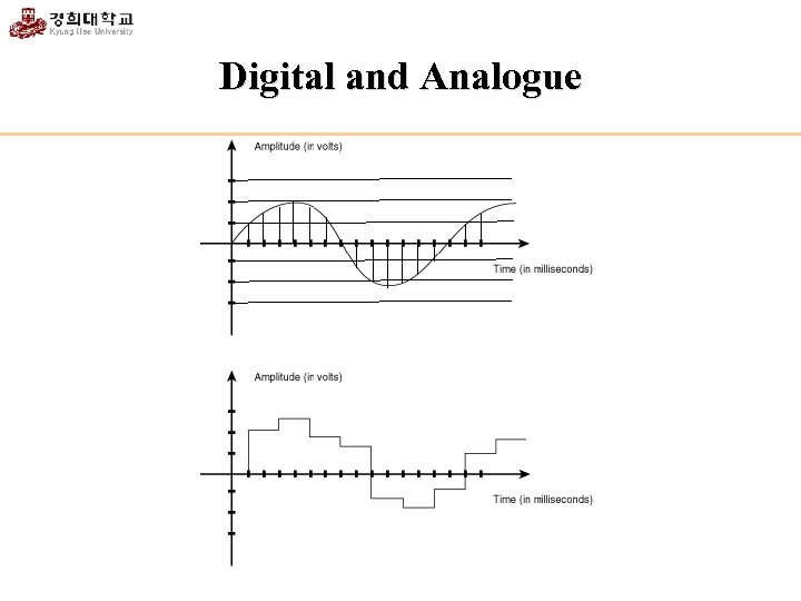 Digital and Analogue 