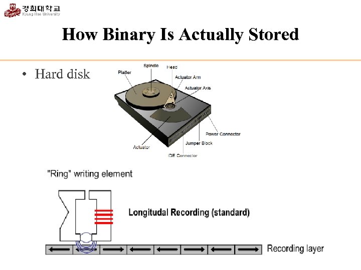 How Binary Is Actually Stored • Hard disk 