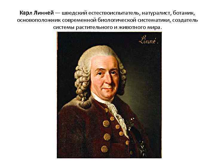 Карл Линней — шведский естествоиспытатель, натуралист, ботаник, основоположник современной биологической систематики, создатель системы растительного