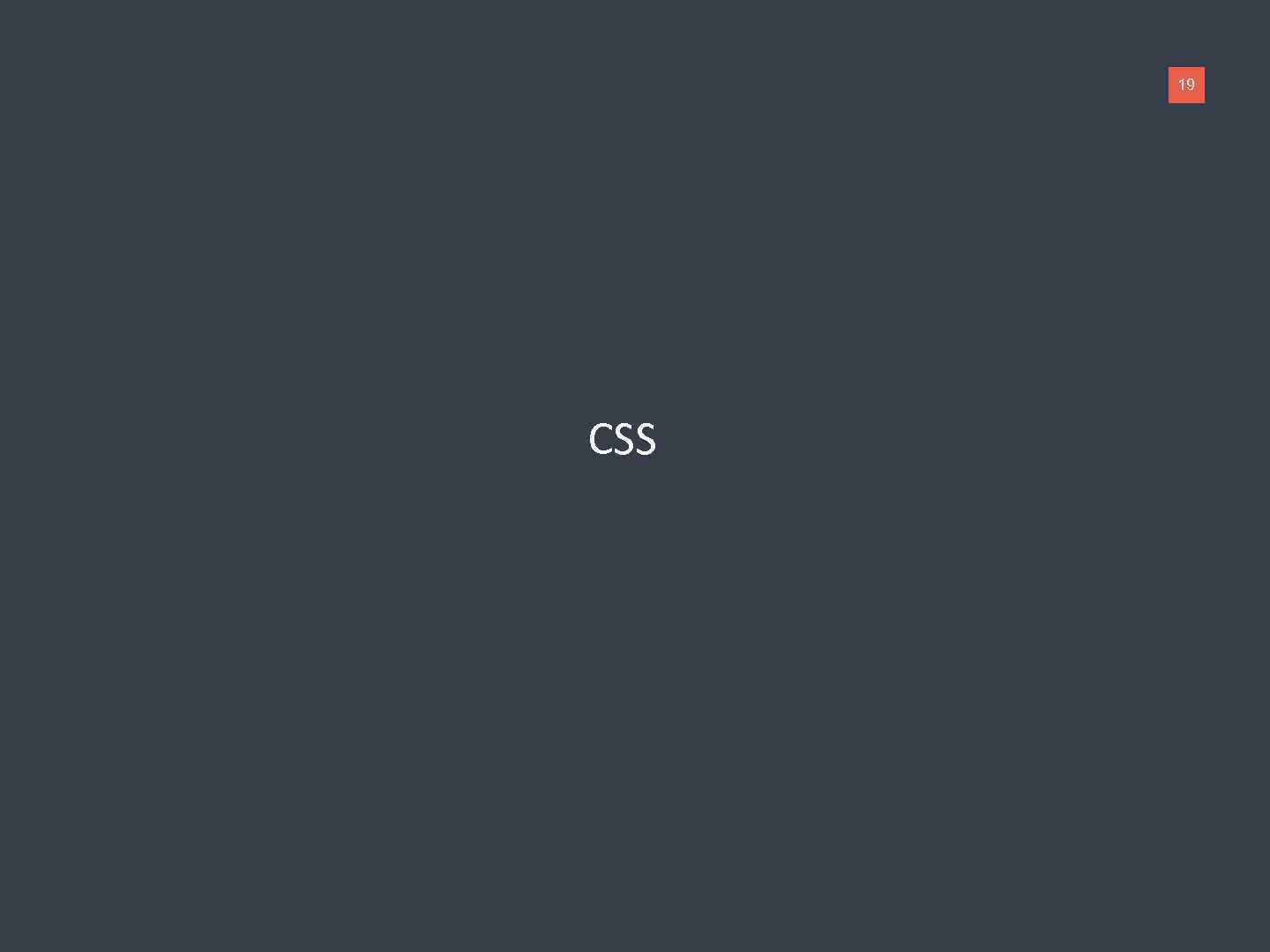 19 CSS 