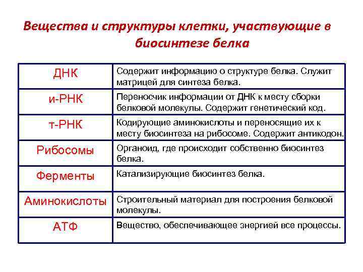 Будущий владелец и пользователь результатов проекта это