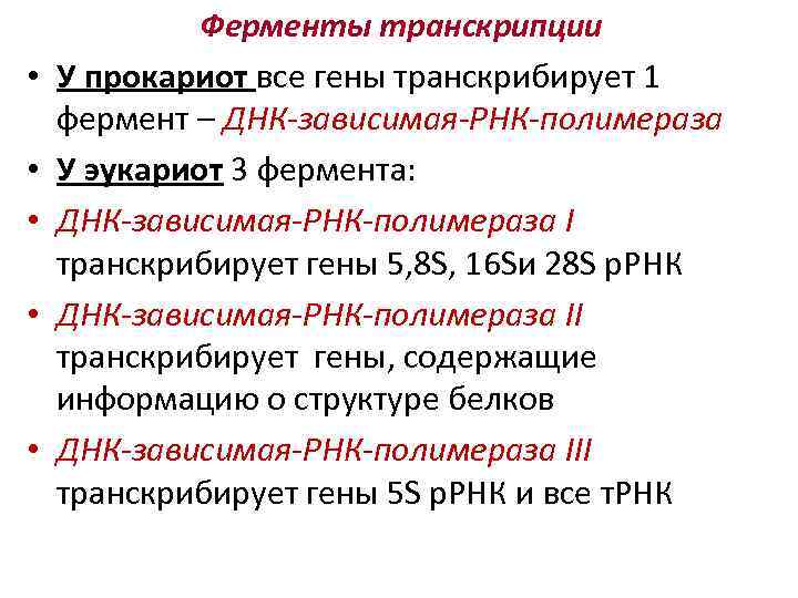 • • • Ферменты транскрипции У прокариот все гены транскрибирует 1 фермент –