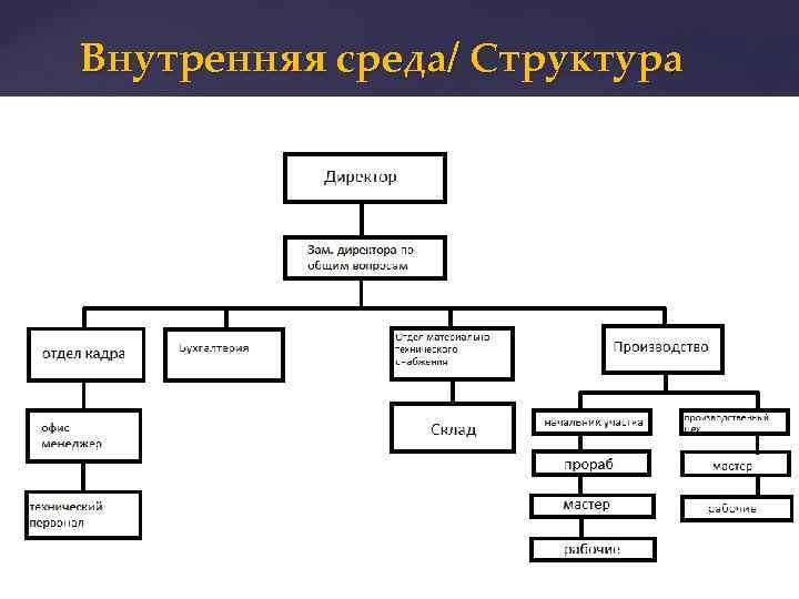 Внутренняя среда/ Структура 