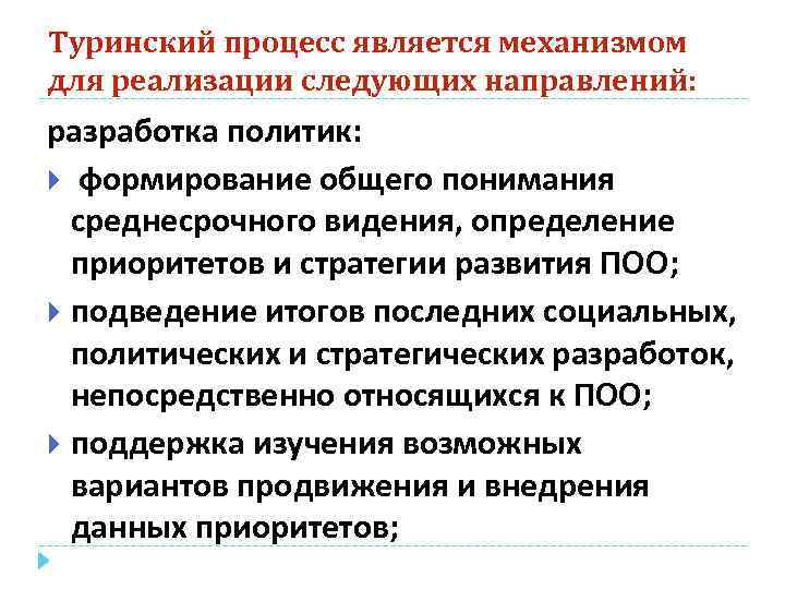 Туринский процесс является механизмом для реализации следующих направлений: разработка политик: формирование общего понимания среднесрочного