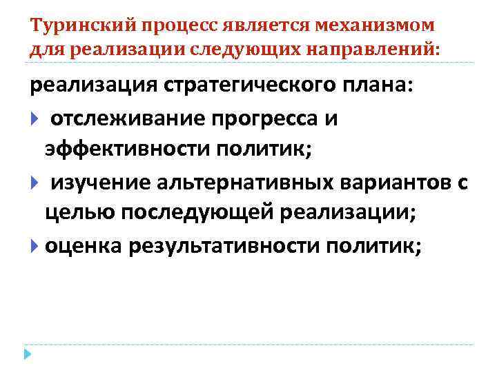 Туринский процесс является механизмом для реализации следующих направлений: реализация стратегического плана: отслеживание прогресса и