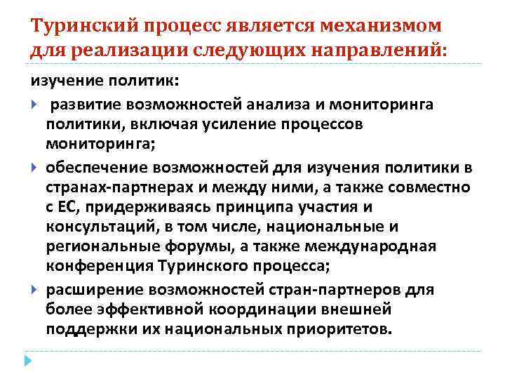 Туринский процесс является механизмом для реализации следующих направлений: изучение политик: развитие возможностей анализа и