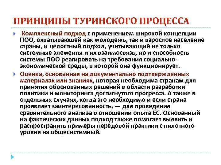 ПРИНЦИПЫ ТУРИНСКОГО ПРОЦЕССА Комплексный подход с применением широкой концепции ПОО, охватывающей как молодежь, так