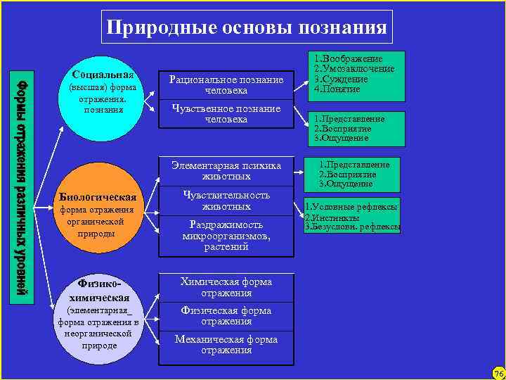 Природные основы познания Социальная (высшая) форма отражения. познания Рациональное познание человека Чувственное познание человека