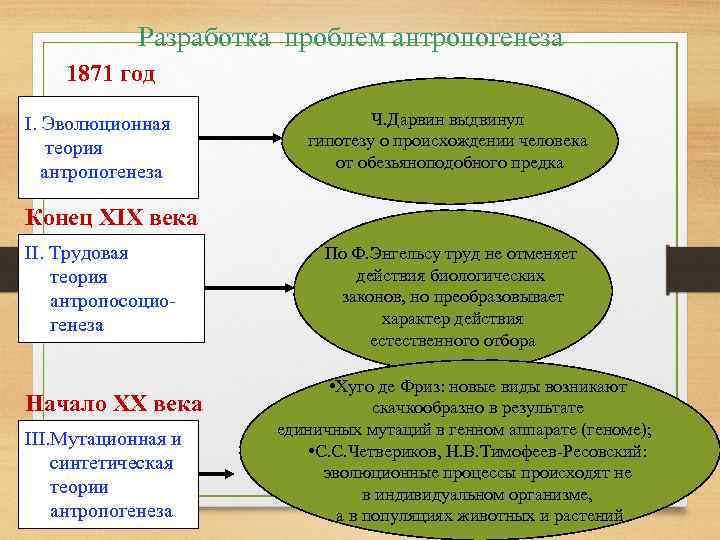 Разработка проблем антропогенеза 1871 год I. Эволюционная теория антропогенеза Ч. Дарвин выдвинул гипотезу о