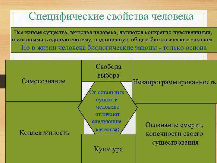 Специфические свойства человека Все живые существа, включая человека, являются конкретно-чувственными, связанными в единую систему,