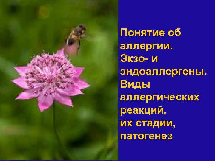 Понятие об аллергии. Экзо- и эндоаллергены. Виды аллергических реакций, их стадии, патогенез 