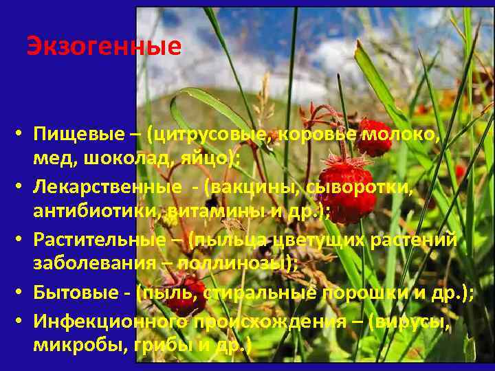 Экзогенные • Пищевые – (цитрусовые, коровье молоко, мед, шоколад, яйцо); • Лекарственные - (вакцины,