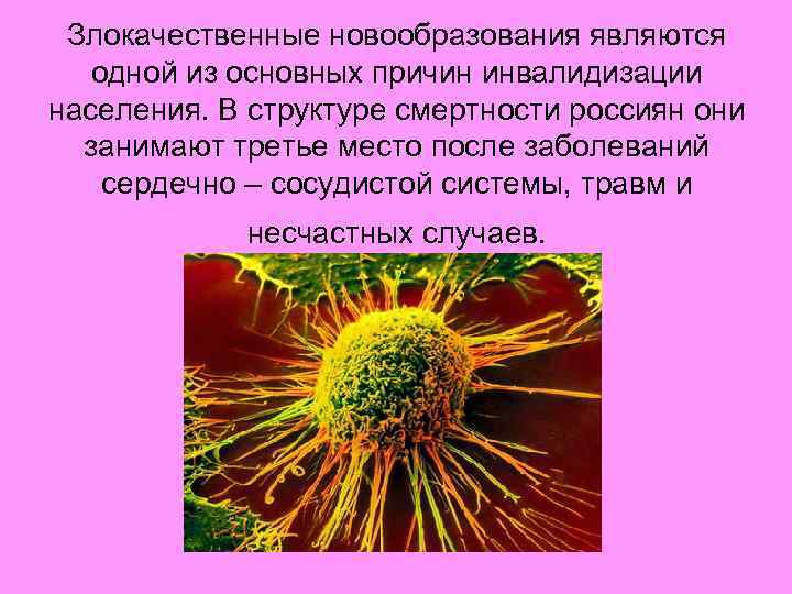Злокачественные новообразования являются одной из основных причин инвалидизации населения. В структуре смертности россиян они