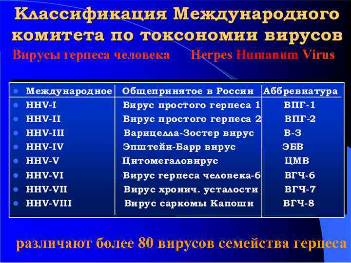 Вирусы герпеса человека Herpes Humanum Virus различают более 80 вирусов семейства герпеса 