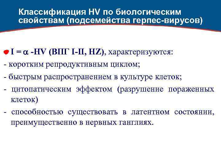 Классификация HV по биологическим свойствам (подсемейства герпес-вирусов) I = -HV (ВПГ I-II, HZ), характеризуются: