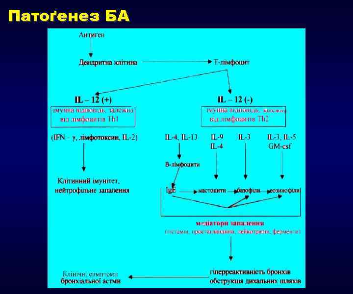 Патоґенез БА 