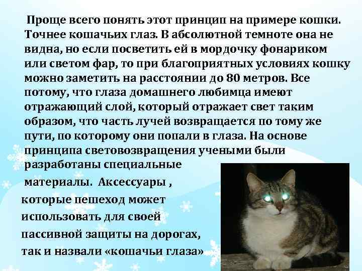  Проще всего понять этот принцип на примере кошки. Точнее кошачьих глаз. В абсолютной