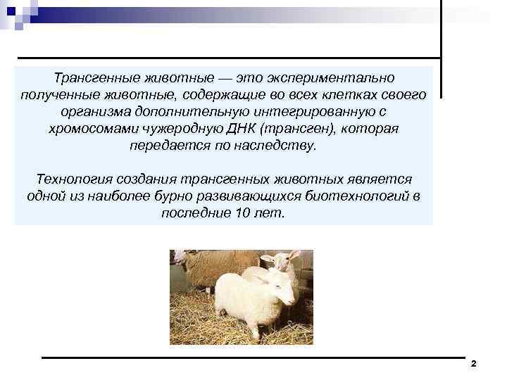 Трансгенные животные — это экспериментально полученные животные, содержащие во всех клетках своего организма дополнительную
