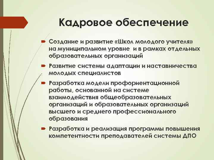 Кадровое обеспечение Создание и развитие «Школ молодого учителя» на муниципальном уровне и в рамках