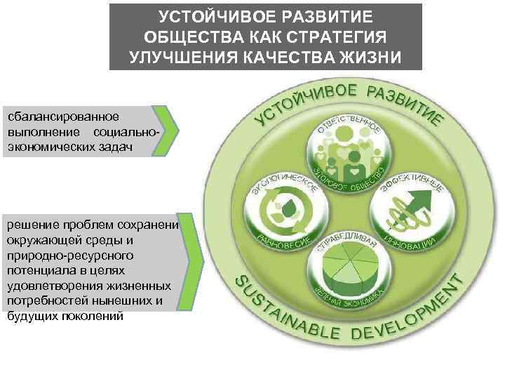 Как устойчивое явление общественной жизни законность возникает и формируется план