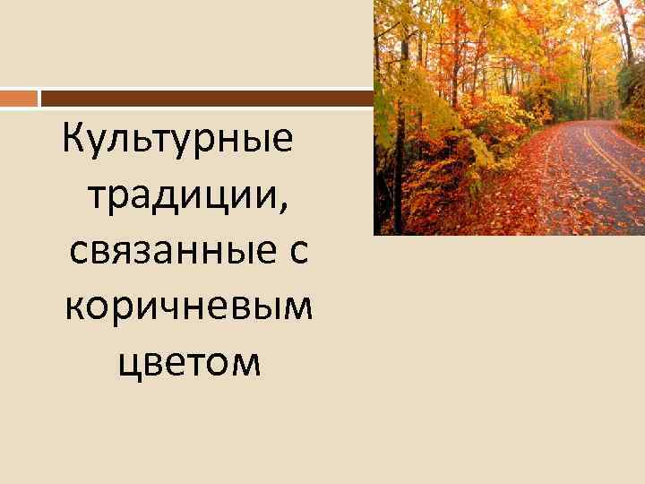 Культурные традиции, связанные с коричневым цветом 