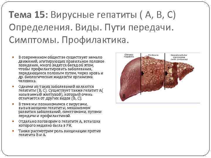 Тема 15: Вирусные гепатиты ( А, В, С) Определения. Виды. Пути передачи. Симптомы. Профилактика.