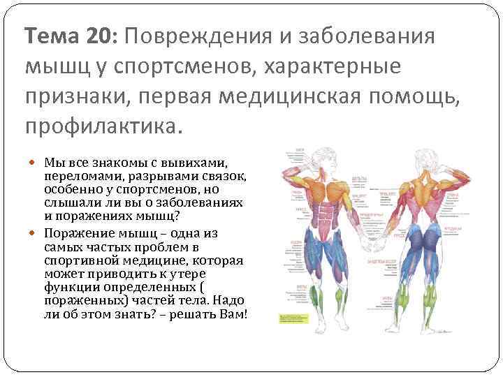 Тема 20: Повреждения и заболевания мышц у спортсменов, характерные признаки, первая медицинская помощь, профилактика.