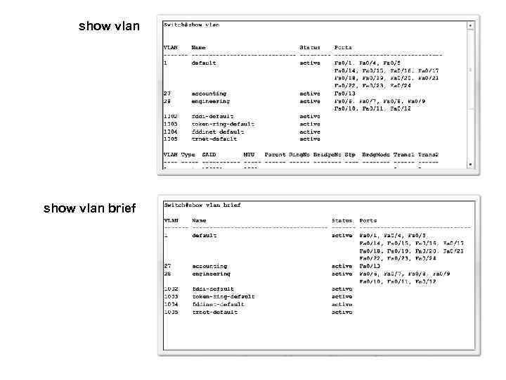 show vlan brief 