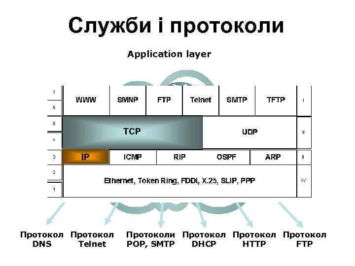 Служби і протоколи Application layer ТСР IP Протокол DNS Telnet Протоколи Протокол DHCP POP,