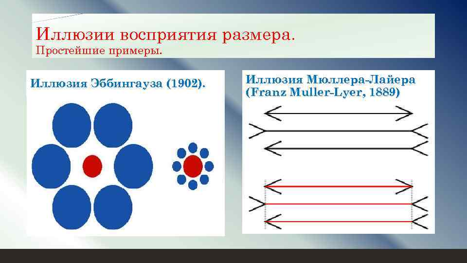 Иллюзии восприятия размера. Простейшие примеры. Иллюзия Эббингауза (1902). Иллюзия Мюллера-Лайера (Franz Muller-Lyer, 1889) 