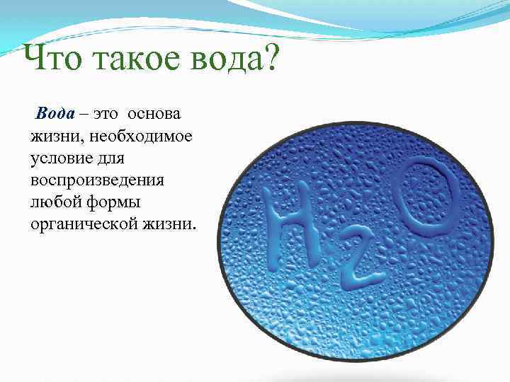 Что такое вода? Вода – это основа жизни, необходимое условие для воспроизведения любой формы