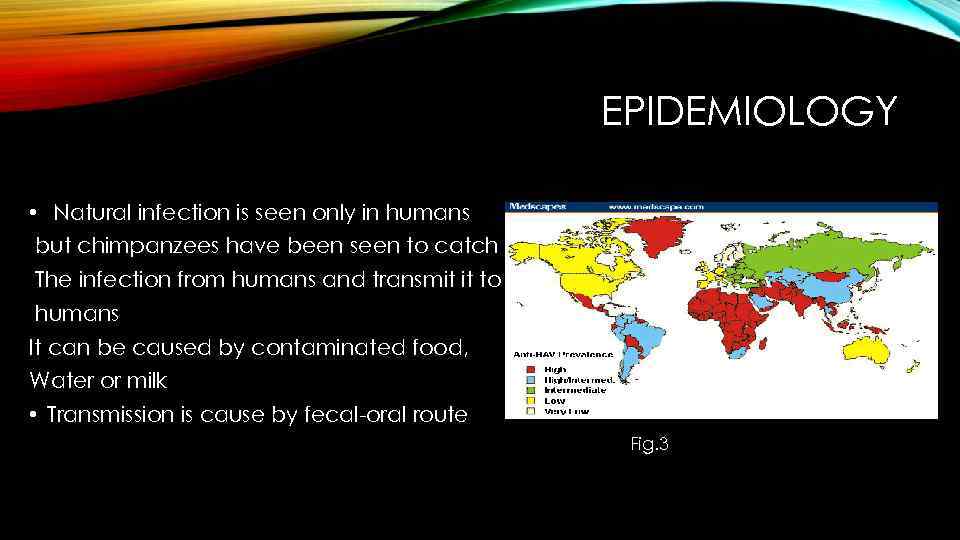 EPIDEMIOLOGY • Natural infection is seen only in humans but chimpanzees have been seen