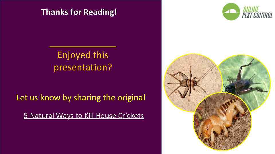 Thanks for Reading! Enjoyed this presentation? Let us know by sharing the original 5