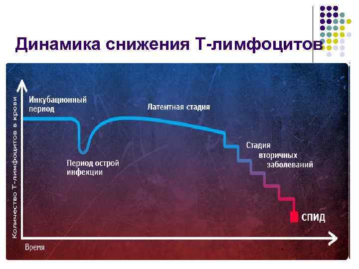 Динамика снижения Т-лимфоцитов 