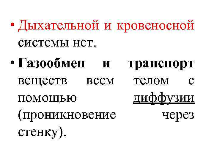  • Дыхательной и кровеносной системы нет. • Газообмен и транспорт веществ всем телом