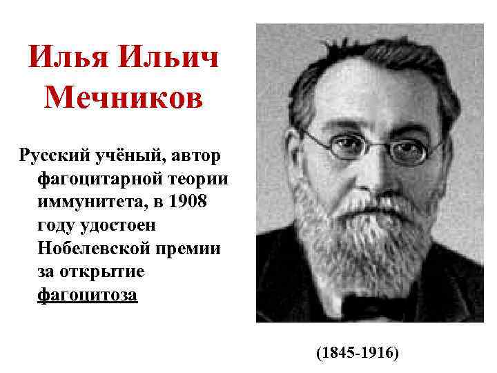 Илья Ильич Мечников Русский учёный, автор фагоцитарной теории иммунитета, в 1908 году удостоен Нобелевской