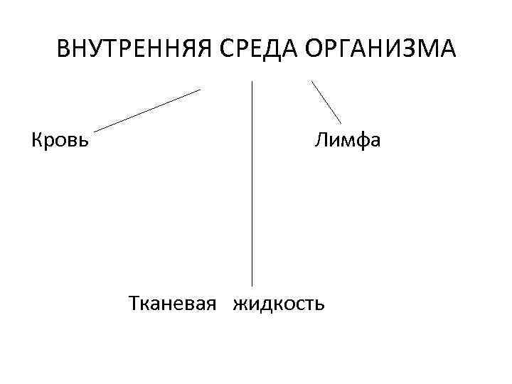 ВНУТРЕННЯЯ СРЕДА ОРГАНИЗМА Кровь Лимфа Тканевая жидкость 