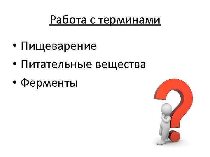 Работа с терминами • Пищеварение • Питательные вещества • Ферменты 