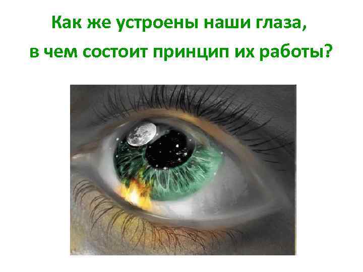 Как же устроены наши глаза, в чем состоит принцип их работы? 