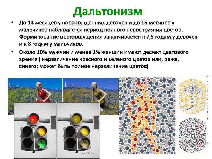 Требования к цветоощущению водителей категории в