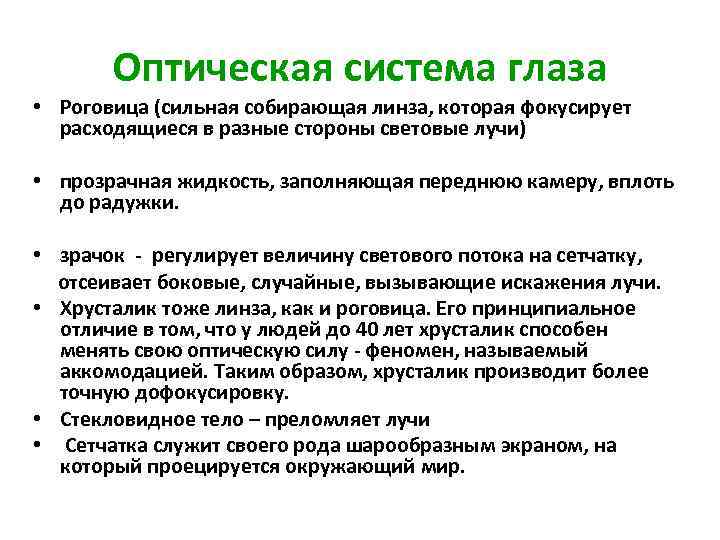 Оптическая система глаза • Роговица (сильная собирающая линза, которая фокусирует расходящиеся в разные стороны