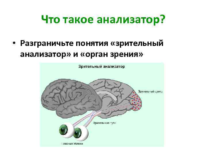 Схема отделов анализатора